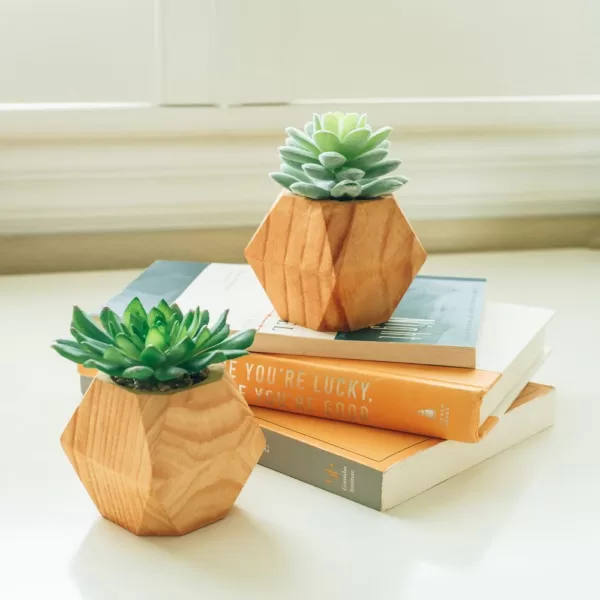 Flora Bunda 4.5 in. Set of 2 Faux Succulent in Wood Pot