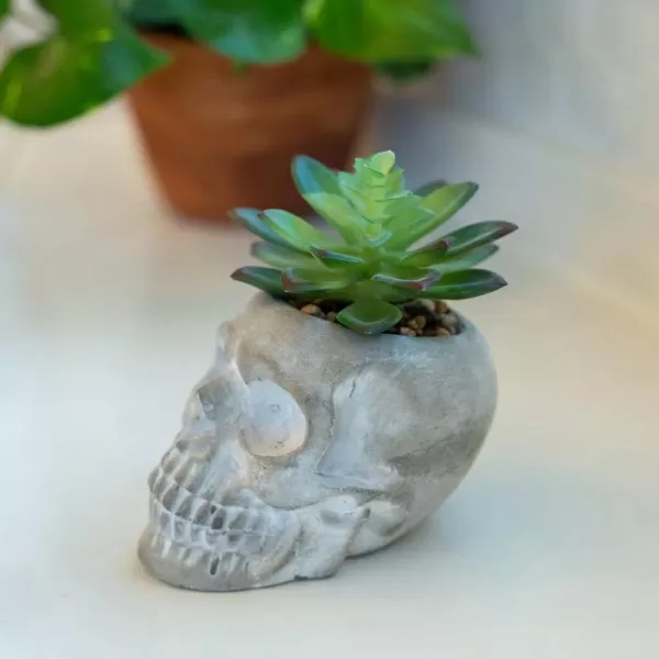 Flora Bunda 5 in. x 3 in. Halloween Artificial Succulent in Gray Cement Sugar Skull