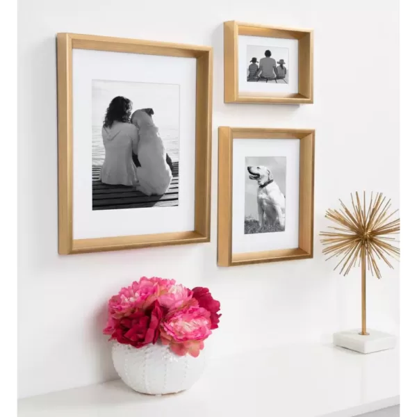 Kate and Laurel Calter 11 in. x 14 in. Matted to 8 in. x 10 in. Gold Picture Frame (Set of 4)