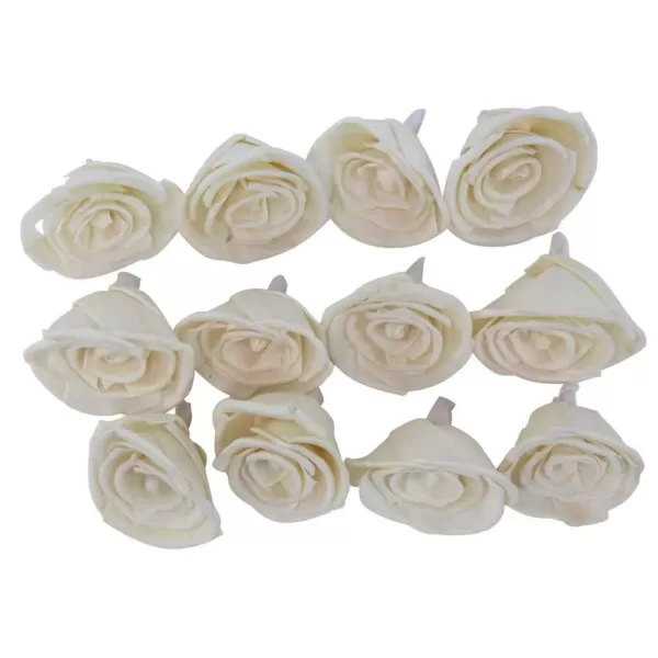 LITTON LANE White Sola Boxed Carnation and Ranunculus Flowers (Set of 2)