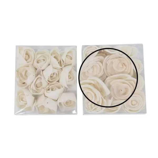 LITTON LANE White Sola Boxed Carnation and Ranunculus Flowers (Set of 2)