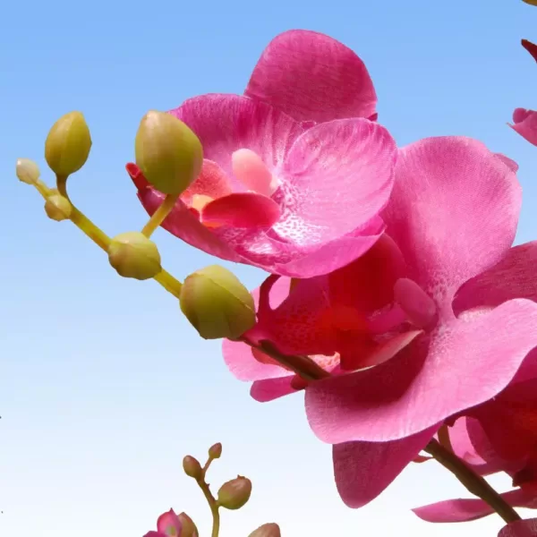 National Tree Company 17 in. Pink Orchid Flowers