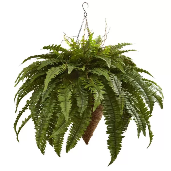 Nearly Natural Giant Boston Fern with Cone Hanging Basket