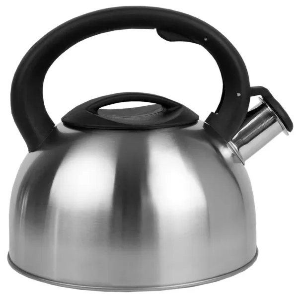 Home Basics Silver Tea Kettle