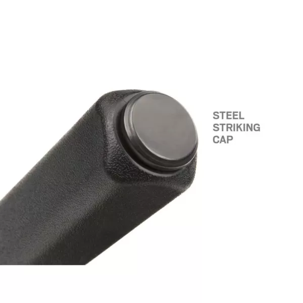 TEKTON 17 in. Angled Tip Handled Pry Bar with Striking Cap