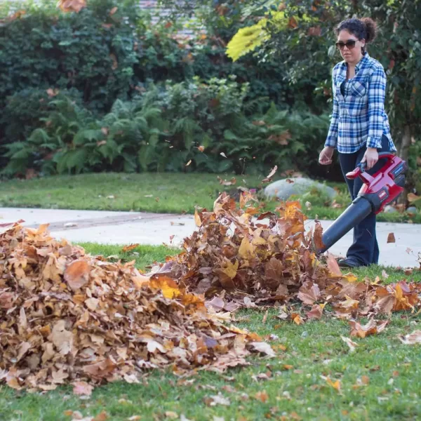 Toro PowerPlex 150 MPH 480 CFM 40-Volt Max Lithium-Ion Cordless Brushless DC Leaf Blower - Battery and Charger Not lncluded