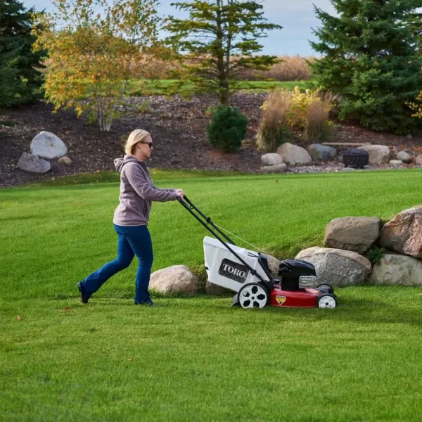 Toro Recycler 21 in. Briggs and Stratton High-Wheel Gas Walk Behind Push Mower