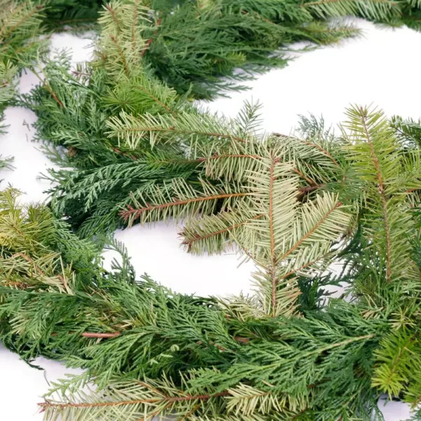 VAN ZYVERDEN 15 ft. Live Fresh Cut Pacific Northwest Douglas and Cedar Mix Coil Garland 15 ft.