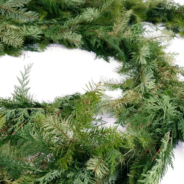 VAN ZYVERDEN 15 ft. Live Fresh Cut Pacific Northwest Douglas and Cedar Mix Coil Garland 15 ft.