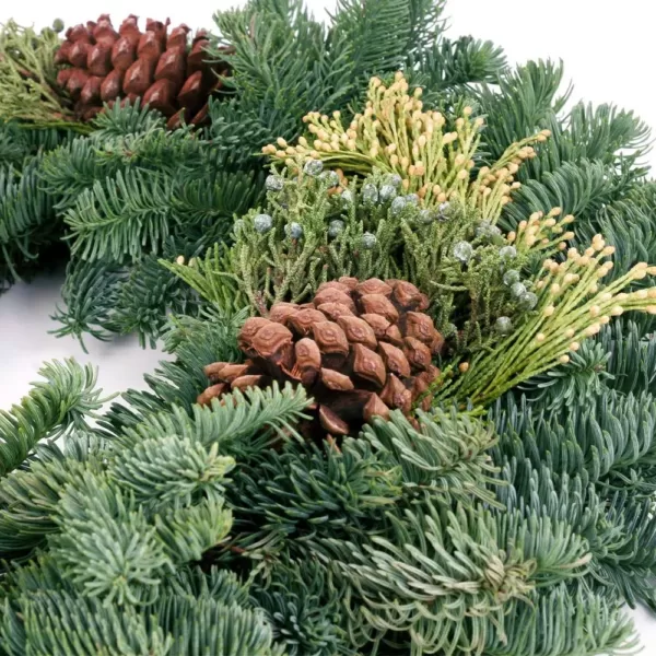 VAN ZYVERDEN 20 in. Live Fresh Cut Pacific Northwest Mixed Christmas Wreath Pine Cone Decorated