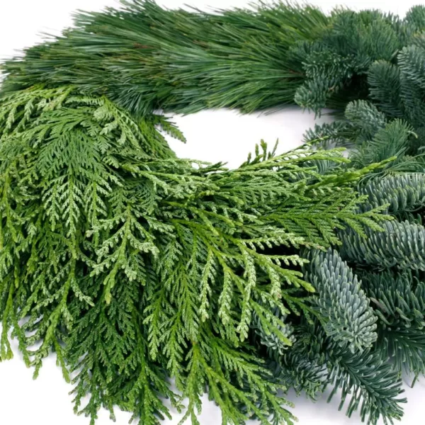 VAN ZYVERDEN 24 in. Live Fresh Cut Pacific Northwest Modern Block Christmas Wreath