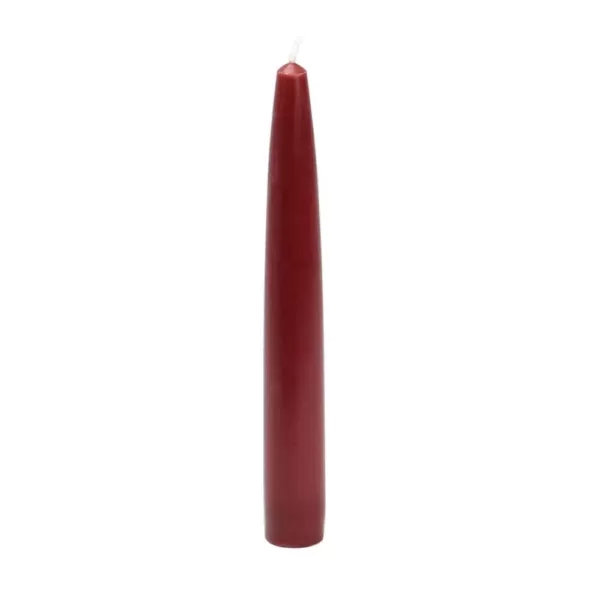 Zest Candle 6 in. Burgundy Taper Candles (Set of 12)