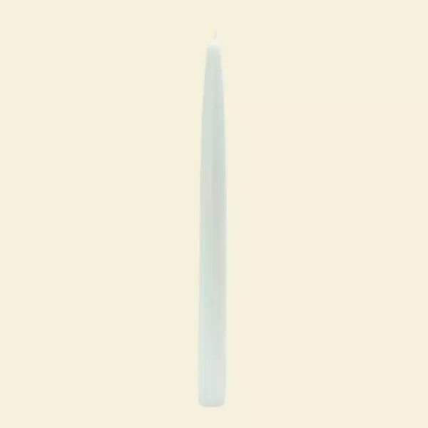 Zest Candle 10 in. White Taper Candles (12-Set)