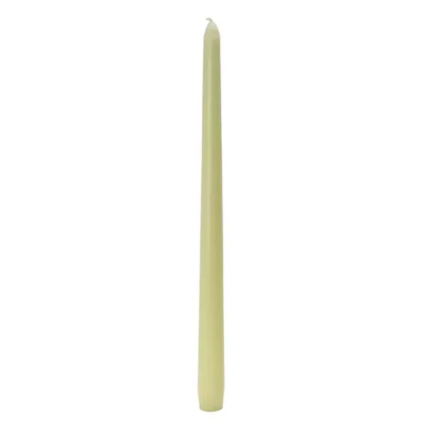 Zest Candle 12 in. Ivory Taper Candles (12-Set)